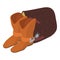 Cowboy concept icon isometric vector. Cowboy boot with spur and brown saddle pad