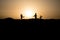 Cowboy concept. Silhouette of Cowboys at sunset time. Cowboys silhouettes on a hill with horses.