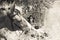 Cowboy, Cowgirl country and western couple with horse and saddle on ranch