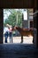 Cowboy, Cowgirl, and Horse - Vertical