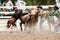 Cowboy falls from dangerous bull