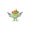 Cowboy fruit melon cartoon mascot for diet