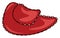 Cowboy hat,  or color illustration