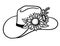 Cowboy hat with flowers. Vector Western hat with sunflowers isolated on white