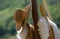 Cowboy Hat hanging on wooden post