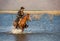 Cowboy on his horse walking through dust in the lake