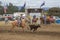 Cowboy on a horse catching a dark brown calf