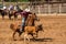 Cowboy and Horse Chasing Calf at Rodeo