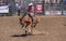Cowboy and horse float in the air at Rodeo Santa Maria, CA, USA