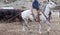 Cowboy and horse moving cows