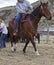 Cowboy on horse pulling rope