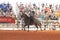 Cowboy horseback riding at the rodeo