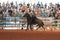 Cowboy horseback riding at the rodeo