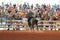 Cowboy horseback riding at the rodeo