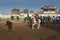 A cowboy on horseback roping a calf in a rodeo at the Churchill County Fairgrounds in the city of Fallon, in the State of Nevada