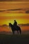 Cowboy on horseback silhouette