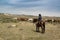 Cowboy ranch hand on horse watching over herd of horses on prairie