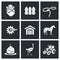 Cowboy ranch icons set. Vector Illustration.