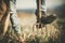 Cowboy Rancher Resting His Leg on a Garden Fork