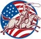 Cowboy ride horse lasso american flag