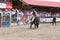 Cowboy rides bucking bull at stampede