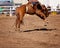 Cowboy Rides Bucking Rodeo Horse