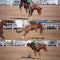 Cowboy Riding Bareback Bucking Bronco Collage