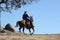 A cowboy riding in a meadow with trees up a mountain with a plain blue sky.