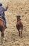 Cowboy roping a calf