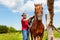 Cowboy saddling chestnut brown horse at the farm