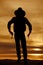 Cowboy silhouette two guns