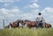 Cowboy standing with hands on hips watching his horses as two of them nudge their heads together in love.