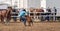 Cowboy Steer Wrestling At Country Rodeo