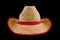 Cowboy straw hat