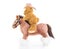 Cowboy Teddy bear riding a horse