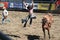 Cowboy thrown from bucking horse