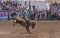 Cowboy on wild horse at Rodeo Santa Maria, CA, USA