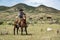 Cowboy wrangler ranch hand on horse with rope watching over horse herd