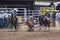 Cowboy Wrestles a Steer