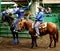 Cowboys At Canadian Finals Rodeo