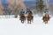 Cowboys Herding Horses In The Snow