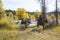 Cowboys Riding Through Pilgrim Creek - Grand Teton