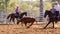 Cowboys Team Roping A Calf