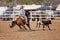 Cowgirl Competing In A Calf Roping Event At A Country Rodeo