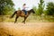 Cowgirl doing horse riding on countryside meadow