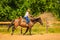 Cowgirl doing horse riding on countryside meadow