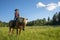 Cowgirl horseback riding in forest