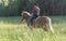 Cowgirl horseback riding in forest