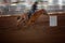 Cowgirl Rides Horse In Barrel Racing Event At A Rodeo