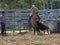 Cowgirl roping calf